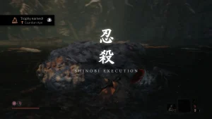 Sekiro_ Shadows Die Twice